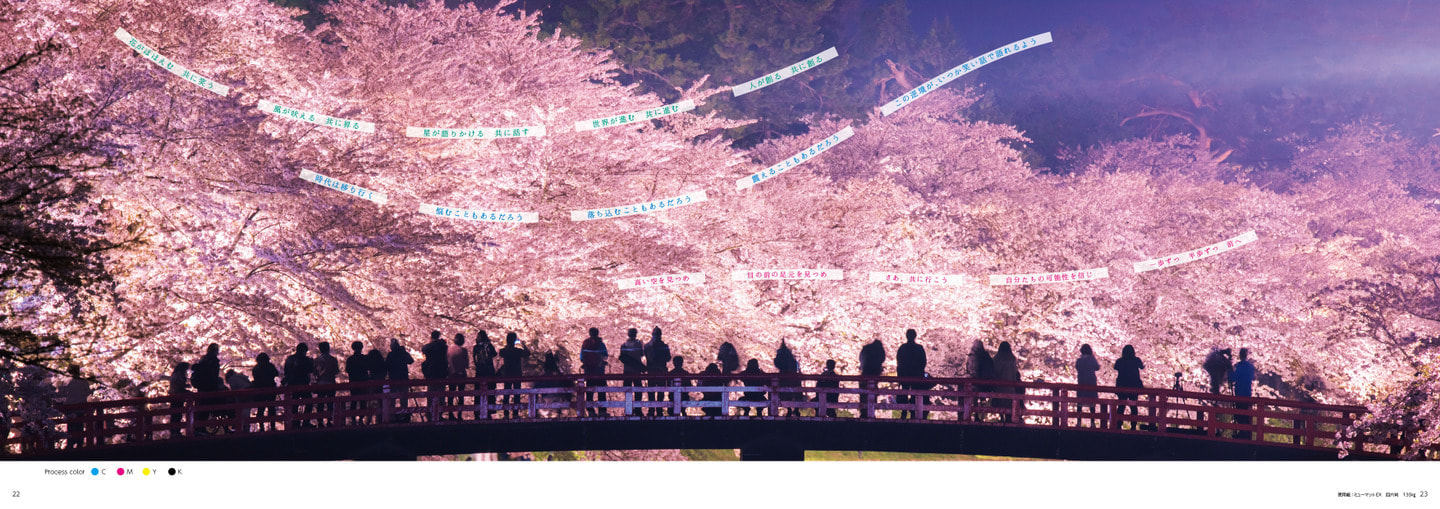桜と人々の後ろ姿の写真全体イメージ